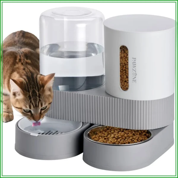 Cat Feeder & Water Dispenser