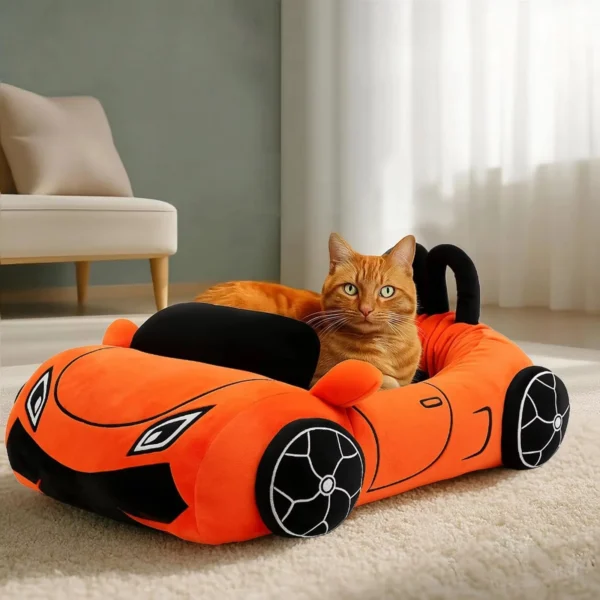 Cat Bed