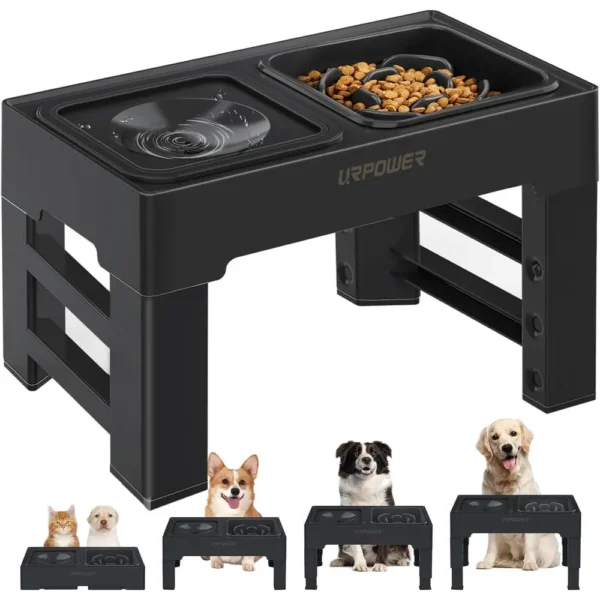 Elevated Feeder Dog Bowls Water Bowl